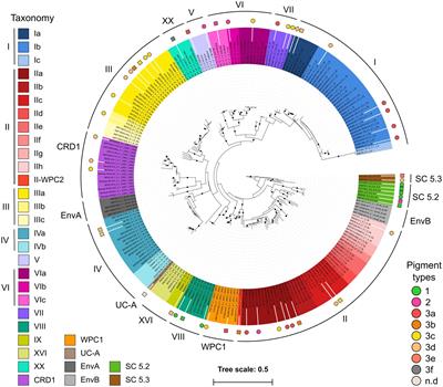 Evolutionary Mechanisms of Long-Term Genome Diversification Associated With Niche Partitioning in Marine Picocyanobacteria